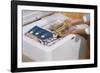 Woman Removing Food from Freezer-William P. Gottlieb-Framed Photographic Print