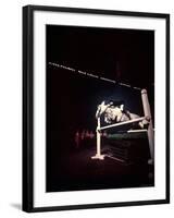 Woman Rider Taking Horse over Jump during National Horse Show-Gjon Mili-Framed Photographic Print