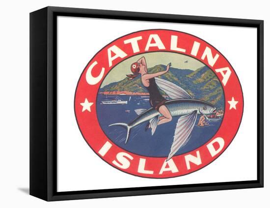 Woman Riding Flying Fish, Catalina Island-null-Framed Stretched Canvas