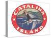 Woman Riding Flying Fish, Catalina Island-null-Stretched Canvas