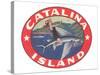 Woman Riding Flying Fish, Catalina Island-null-Stretched Canvas