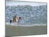 Woman Riding Horse on the Beach, Tibau Do Sul, Natal, Rio Grande Do Norte State, Brazil-Sergio Pitamitz-Mounted Photographic Print