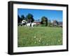 Woman Riding Horseback on Skiff Mountain, Litchfield Hills, Connecticut, USA-Jerry & Marcy Monkman-Framed Photographic Print