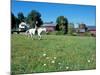 Woman Riding Horseback on Skiff Mountain, Litchfield Hills, Connecticut, USA-Jerry & Marcy Monkman-Mounted Photographic Print