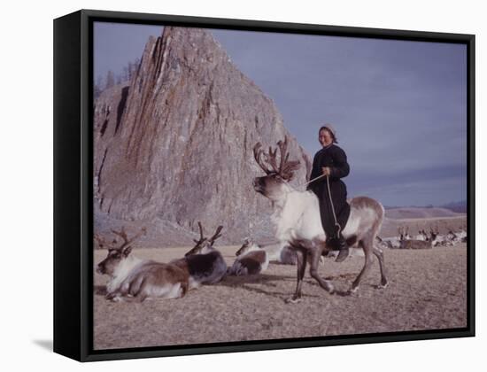 Woman Riding One of Her Reindeer in Outer Mongolia-Howard Sochurek-Framed Stretched Canvas