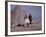 Woman Riding One of Her Reindeer in Outer Mongolia-Howard Sochurek-Framed Photographic Print