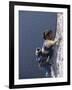 Woman Rock Climbing-null-Framed Photographic Print