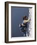 Woman Rock Climbing-null-Framed Photographic Print