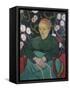 Woman Rocking a Cradle-Vincent van Gogh-Framed Stretched Canvas