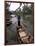 Woman Rowing, Mekong Delta, Vietnam-Bill Bachmann-Framed Photographic Print