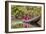 Woman Rowing Traditional Pirogue Down Du River, Monrovia, Liberia-Alida Latham-Framed Photographic Print