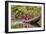 Woman Rowing Traditional Pirogue Down Du River, Monrovia, Liberia-Alida Latham-Framed Photographic Print