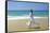 Woman Running Along Beach, Kovalam, Kerala State, India-Gavin Hellier-Framed Stretched Canvas