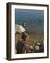 Woman's Back Covered with Mud and People Floating in the Sea in Background, Dead Sea, Israel-Eitan Simanor-Framed Photographic Print