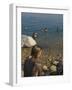 Woman's Back Covered with Mud and People Floating in the Sea in Background, Dead Sea, Israel-Eitan Simanor-Framed Photographic Print