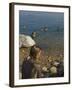 Woman's Back Covered with Mud and People Floating in the Sea in Background, Dead Sea, Israel-Eitan Simanor-Framed Photographic Print