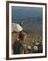 Woman's Back Covered with Mud and People Floating in the Sea in Background, Dead Sea, Israel-Eitan Simanor-Framed Photographic Print