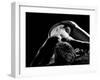 Woman's Back on Black Background-Antonino Barbagallo-Framed Photographic Print