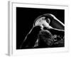 Woman's Back on Black Background-Antonino Barbagallo-Framed Photographic Print