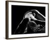 Woman's Back on Black Background-Antonino Barbagallo-Framed Photographic Print