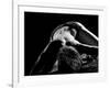 Woman's Back on Black Background-Antonino Barbagallo-Framed Photographic Print