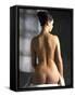 Woman's Back-Tony McConnell-Framed Stretched Canvas