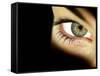 Woman's Eye-Science Photo Library-Framed Stretched Canvas