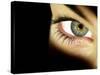 Woman's Eye-Science Photo Library-Stretched Canvas