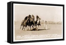 Woman's Four Horse Catch-null-Framed Stretched Canvas