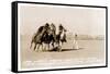 Woman's Four Horse Catch-null-Framed Stretched Canvas