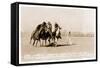 Woman's Four Horse Catch-null-Framed Stretched Canvas