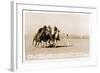 Woman's Four Horse Catch-null-Framed Art Print