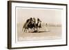 Woman's Four Horse Catch-null-Framed Art Print