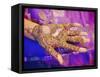 Woman's Hand Decorated with Henna, Rajasthan, India-Bruno Morandi-Framed Stretched Canvas