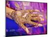 Woman's Hand Decorated with Henna, Rajasthan, India-Bruno Morandi-Mounted Photographic Print