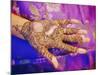 Woman's Hand Decorated with Henna, Rajasthan, India-Bruno Morandi-Mounted Photographic Print