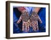 Woman's Hands Decorated with Henna, Rajasthan, India-Bruno Morandi-Framed Photographic Print