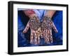 Woman's Hands Decorated with Henna, Rajasthan, India-Bruno Morandi-Framed Photographic Print