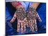 Woman's Hands Decorated with Henna, Rajasthan, India-Bruno Morandi-Mounted Photographic Print