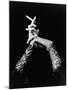 Woman's Hands Holding Cigarette-null-Mounted Photographic Print