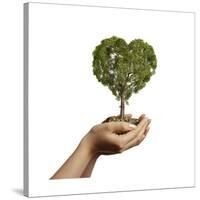 Woman's Hands Holding Soil with a Tree Heart Shaped-null-Stretched Canvas