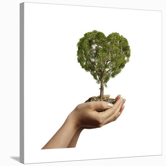 Woman's Hands Holding Soil with a Tree Heart Shaped-null-Stretched Canvas