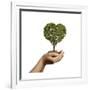 Woman's Hands Holding Soil with a Tree Heart Shaped-null-Framed Art Print