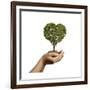 Woman's Hands Holding Soil with a Tree Heart Shaped-null-Framed Art Print