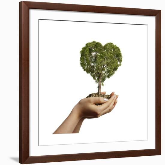 Woman's Hands Holding Soil with a Tree Heart Shaped-null-Framed Art Print