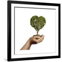 Woman's Hands Holding Soil with a Tree Heart Shaped-null-Framed Art Print