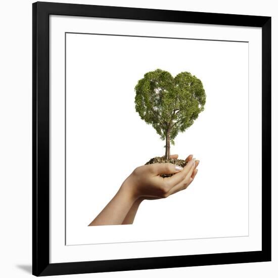 Woman's Hands Holding Soil with a Tree Heart Shaped-null-Framed Art Print