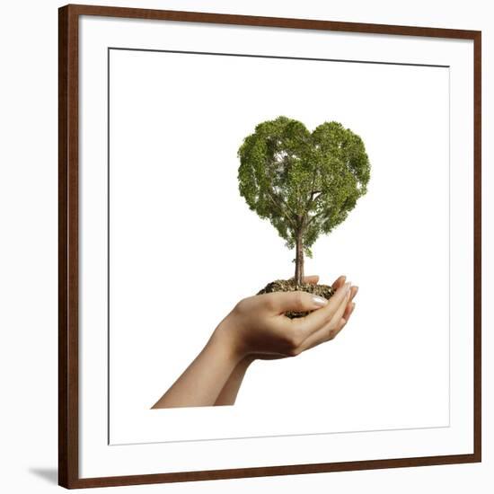 Woman's Hands Holding Soil with a Tree Heart Shaped-null-Framed Art Print