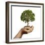 Woman's Hands Holding Soil with a Tree-null-Framed Art Print