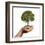 Woman's Hands Holding Soil with a Tree-null-Framed Art Print